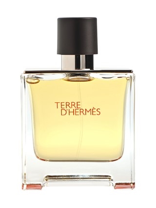 terre edp