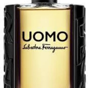 בושם לגבר סלבדור פרגמו אומו אדט 100 מ"ל SALVATORE FERRAGAMO UOMO EDT