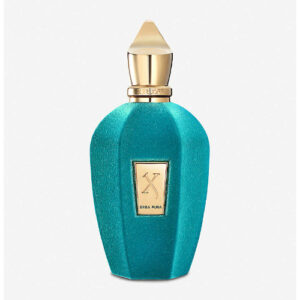 טסטר - ארבה פורה אדפ יוניסקס 100 מ"ל - קסרג'וף Tester - Xerjoff - Erba Pura EDP Unisex 100ML