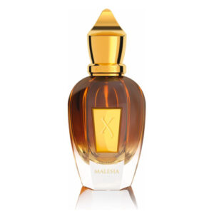 טסטר - אוד סטארס מלזיה אדפ יוניסקס 50 מ"ל - קסרג'וף Tester - Xerjoff - Oud Stars Malesia EDP Unisex 50ML