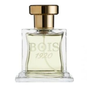 טסטר - אליטה I אדפ יוניסקס 100 מ"ל - בויס 1920 Tester - Bois 1920 - Elite I EDP Unisex 100ML