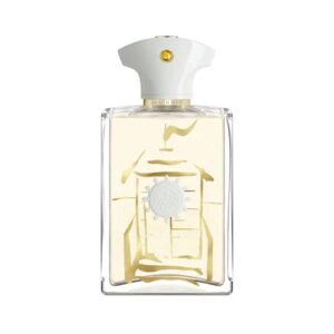 טסטר - ביץ' האט אדפ לגבר 100 מ"ל - אמואג' Tester - Amouage - Beach Hut EDP For Men 100ML