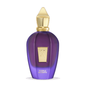 קסרגוף פרפל אסנטו אדפ 100 מ”ל Xerjoff Accento PURPLE E.D.P 100ml