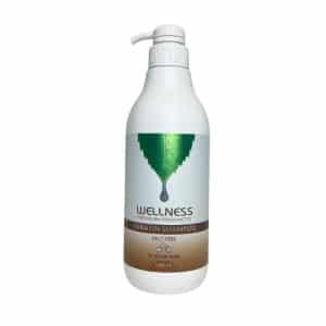וולנס שמפו קרטין טיפולי להחלקות 1000 מל WELLNESS HAIR SHAMPOO 1000 ML