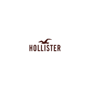 Hollister- הוליסטר