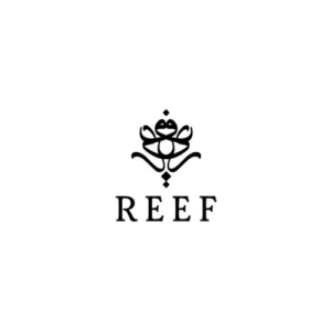 Reef - ריף