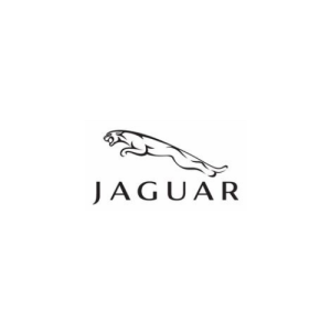 Jaguar - יגואר