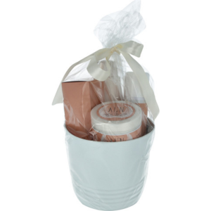 אלין סט דלי אולימפוס - Aline Olympus Bucket Set