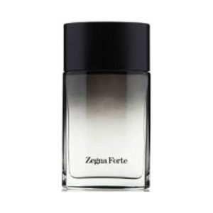 זגנה זנייה פורטה לגבר 100 מל אדט – Ermenegildo Zegna Zegna Forte for Men 100ml EDT