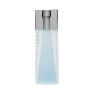 סאקסס דה פריז פוגיאמה לגבר 100 מל אדט – Success de Paris Fujiyama for Men 100ml EDT