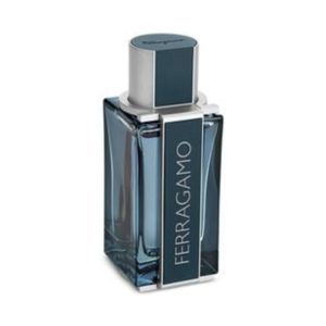 סלבטור פרגמו אינטנס לדר לגבר 100 מ”ל אדפ – Salvatore Ferragamo Intense Leatherfor men 100ml edp