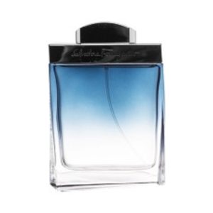 סלבטורה אינקטו סובטיל פור פאם לגבר 100 מל אדט – Salvatore Ferragamo Subtil Homme for Men 100ml EDT