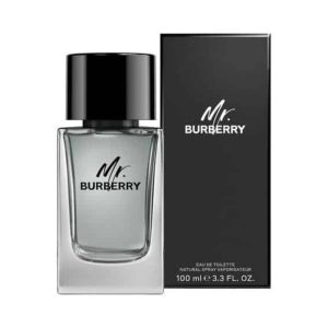 ברברי מיסטר ברברי לגבר 100 מל אדט – BURBERRY MR BURBERRY FOR MEN 100ML EDT
