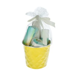 אלין סט דלי פרדיס – Aline Paradise Bucket Set